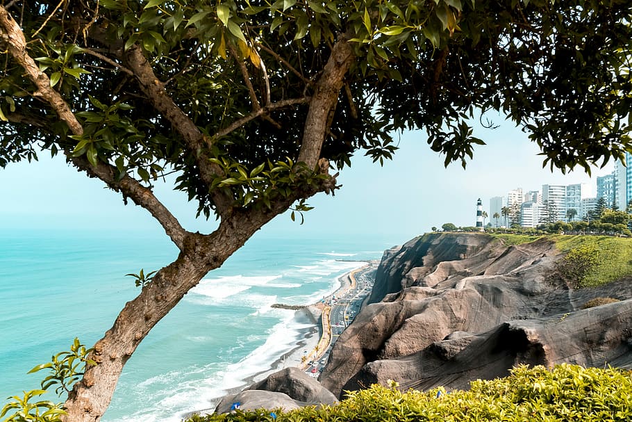 city buildings near body of water, cliff near buildings and sea under blue skies HD wallpaper