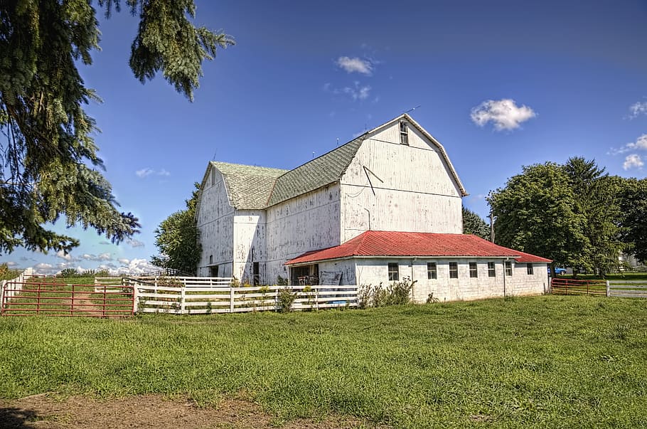 barn, rustic, barns, white, ohio, digital art, rural, scenic, HD wallpaper