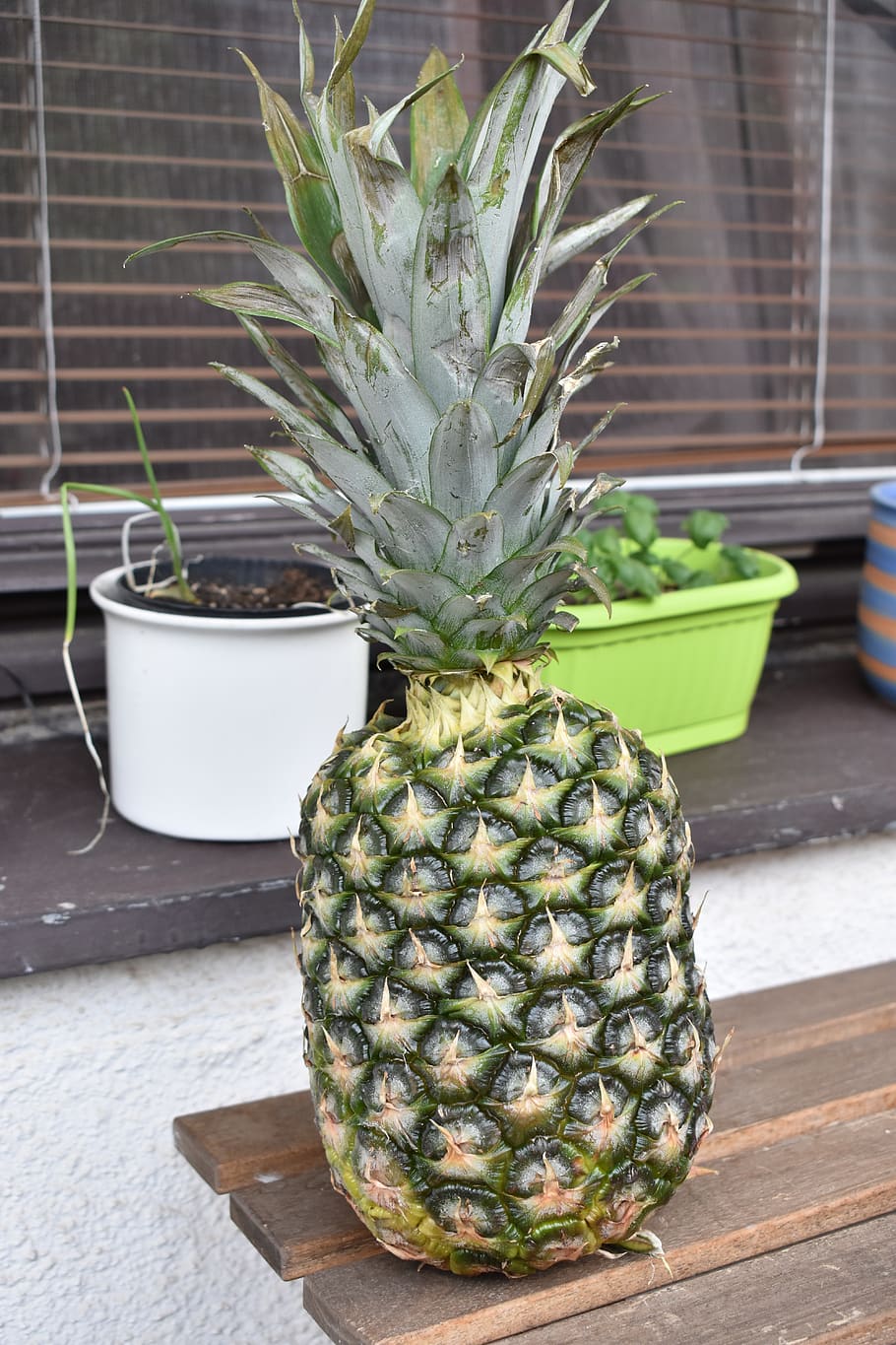 pineapple, fruit, food and drink, tropical fruit, healthy eating HD wallpaper