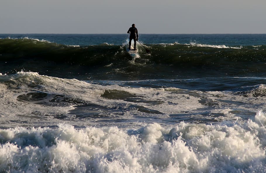 surfer, paddle, stand up paddling, wave, surfing, wet, sea HD wallpaper