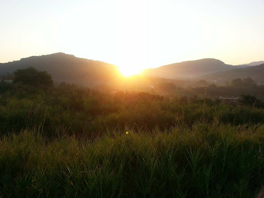 sunrise, mountain, morgenrot, sky, plant, sunlight, beauty in nature HD wallpaper