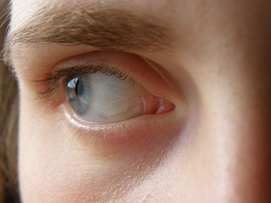 eye, blue, iris, algae, eyebrows, human body part, eyesight HD wallpaper