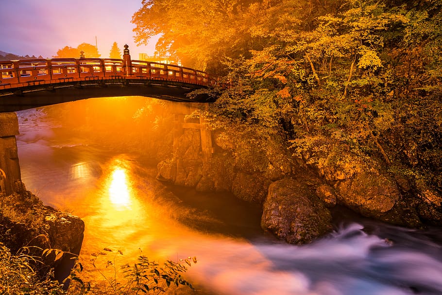 brown and black bridge surrounded by body of water and trees at golden hour, bridge over river HD wallpaper
