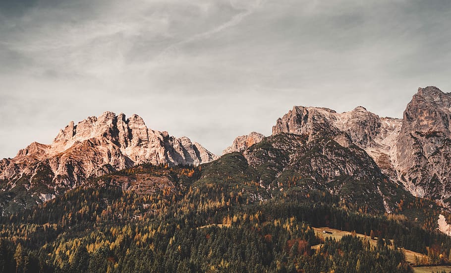 landscape photo of trees near mountains, mountain reflecting on body of water HD wallpaper