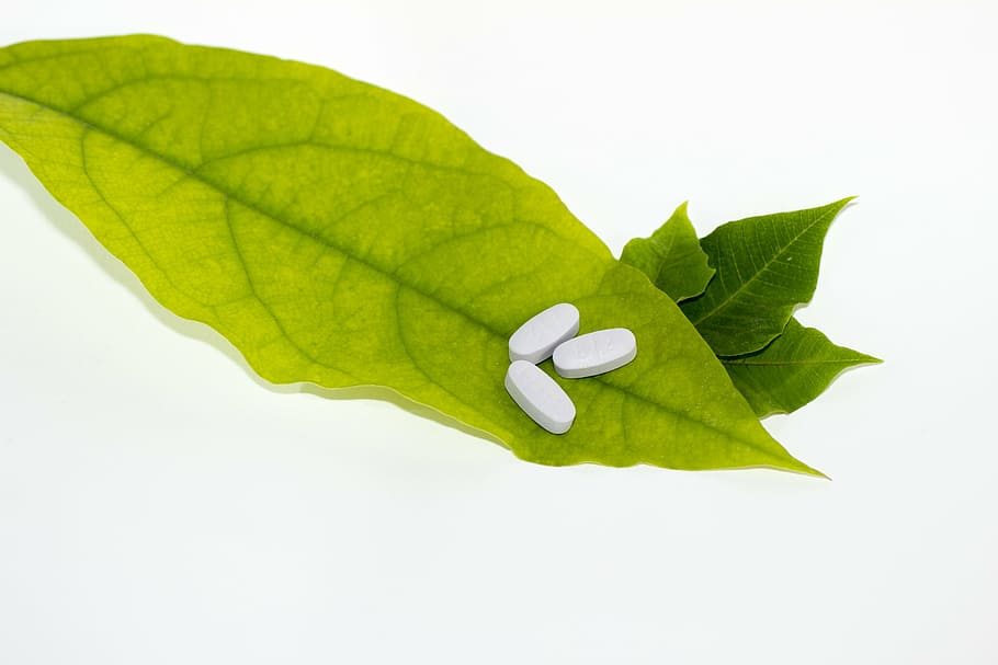 three tablet in ovate leaf, pills, green, medicine, herbal, alternative