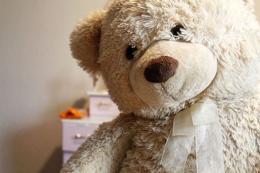 teddy bear, toy, stuffed toy, animal representation, close-up HD wallpaper