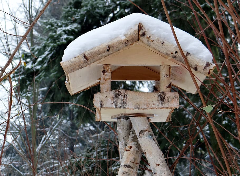 aviary, forest, winter, shelter, wintry, snow, bird feeder HD wallpaper