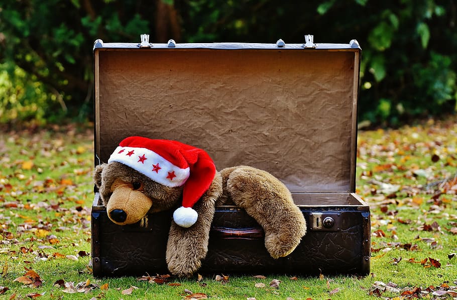 christmas-luggage-antique-teddy.jpg