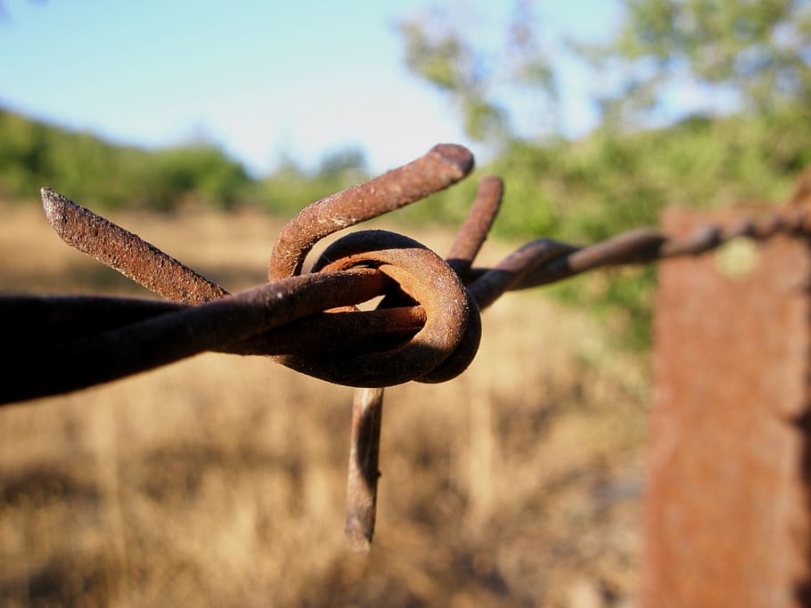 wire, hawthorn, wired, metal, rusty, focus on foreground, close-up HD wallpaper