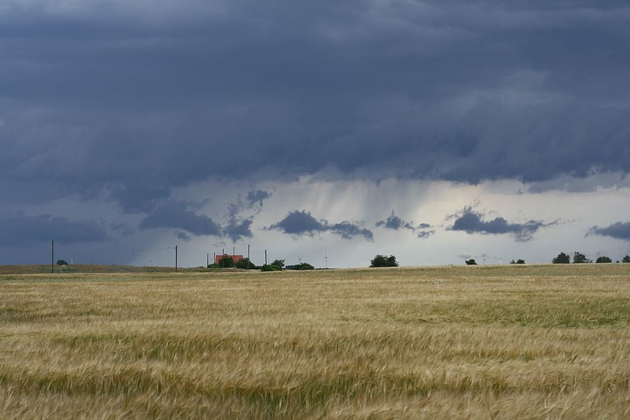 Nature, Weather, Cloud, Landscape, agriculture, rural Scene HD wallpaper