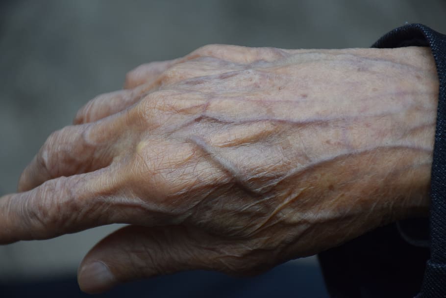 the aged, hand, meridian, human hand, human body part, wrinkled, HD wallpaper