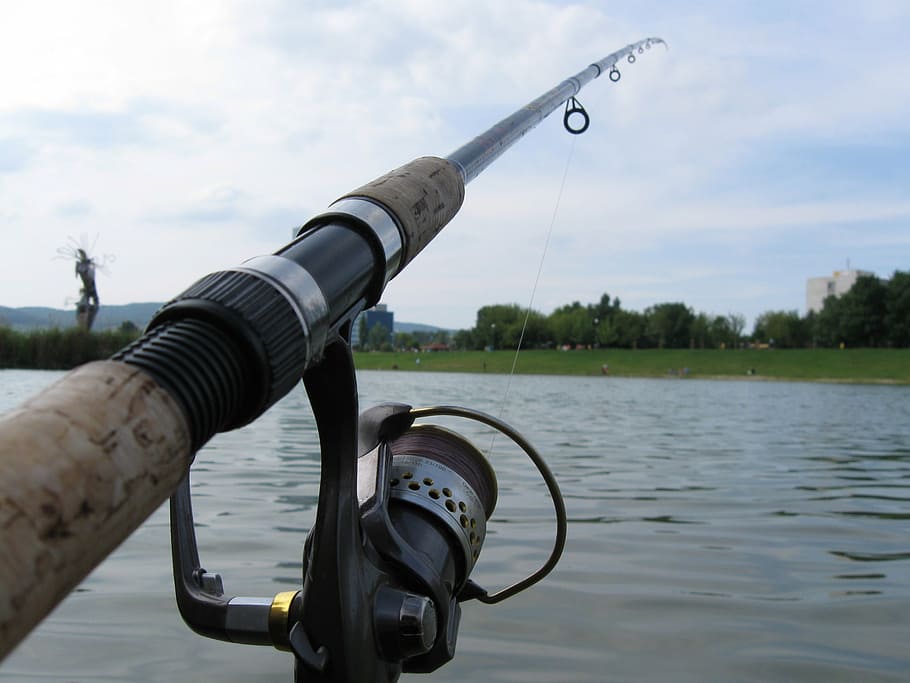 fishing, rod, water, catch fish, outdoors, fishing Reel, nature HD wallpaper