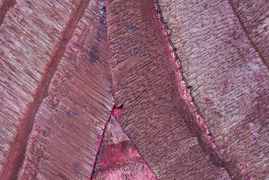 wood, bark, structure, fund, background, grain, nature, texture HD wallpaper