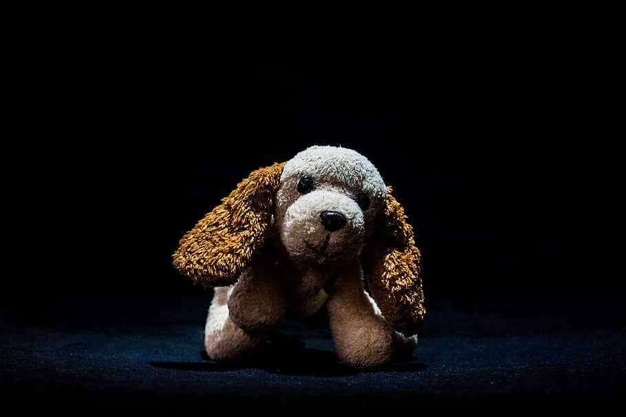 toy, teddy, cute, soft, brown, white, animal, childhood, fur, HD wallpaper