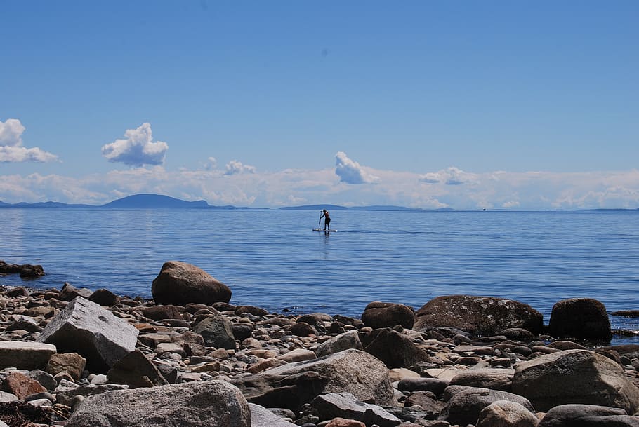 beach, ocean, exercise, paddleboard, outdoor, nature, paddling HD wallpaper