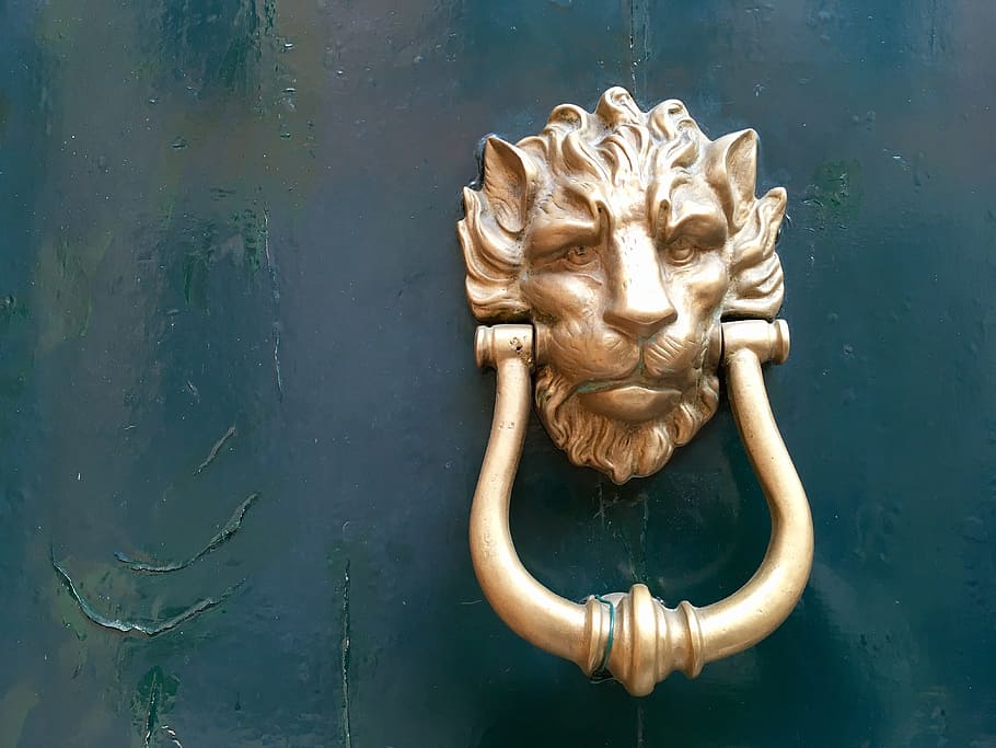 gold-colored tiger door knocker, Bell, Entrance, Door, Door, Deco