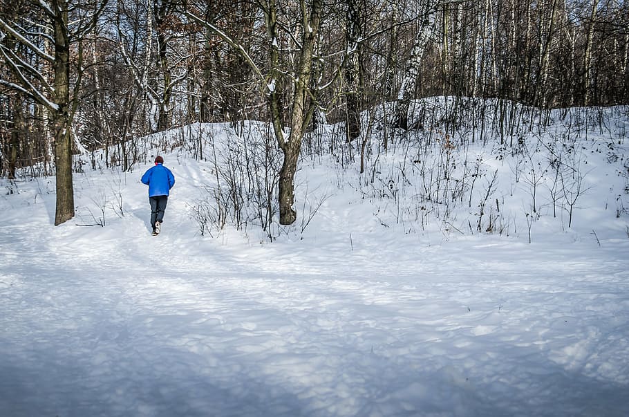 jogging, winter, snow, tree, nature, cold temperature, one person HD wallpaper