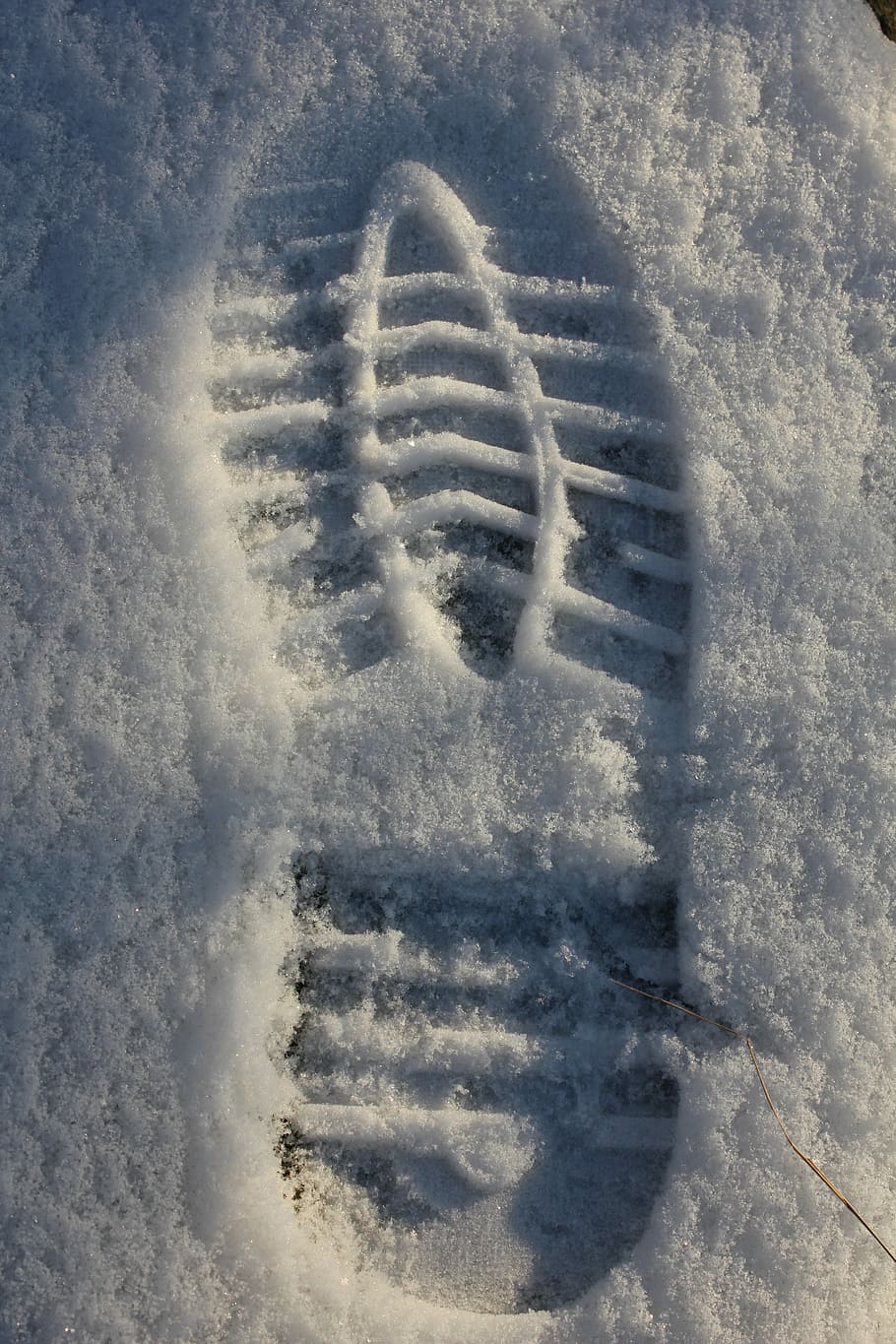 Track, Print, Snow, Tracks, Winter, Step, footprint footprint HD wallpaper