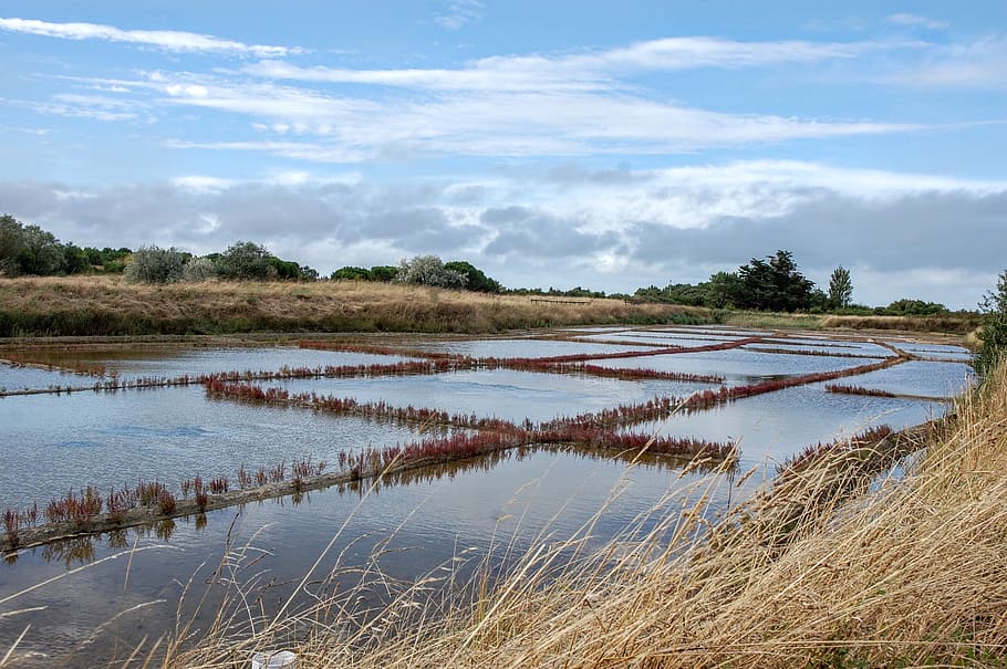 marsh, saline, water, island of oleron, oléron, france, landscape, HD wallpaper