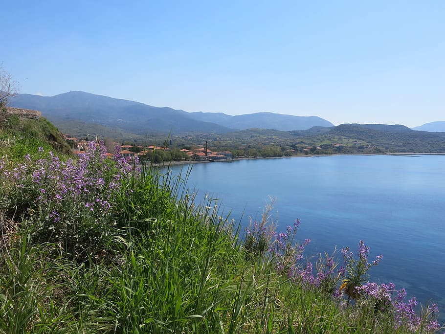 Molivos, Coast, Sea, Wild Flowers, Bay, mountains, scenic, coastline, HD wallpaper