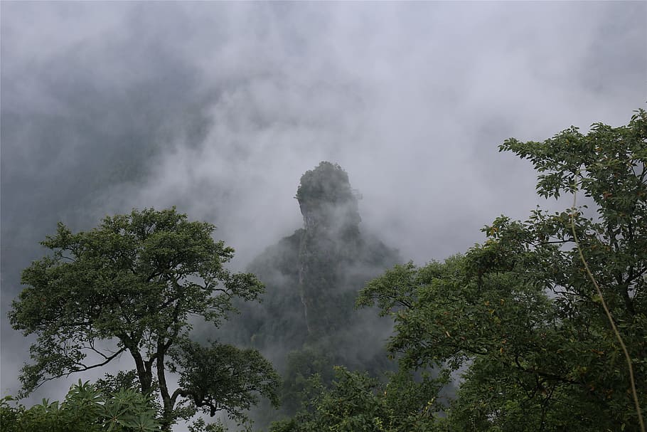 zhangjiajie, tianmen mountain, tourism, tree, plant, cloud - sky, HD wallpaper