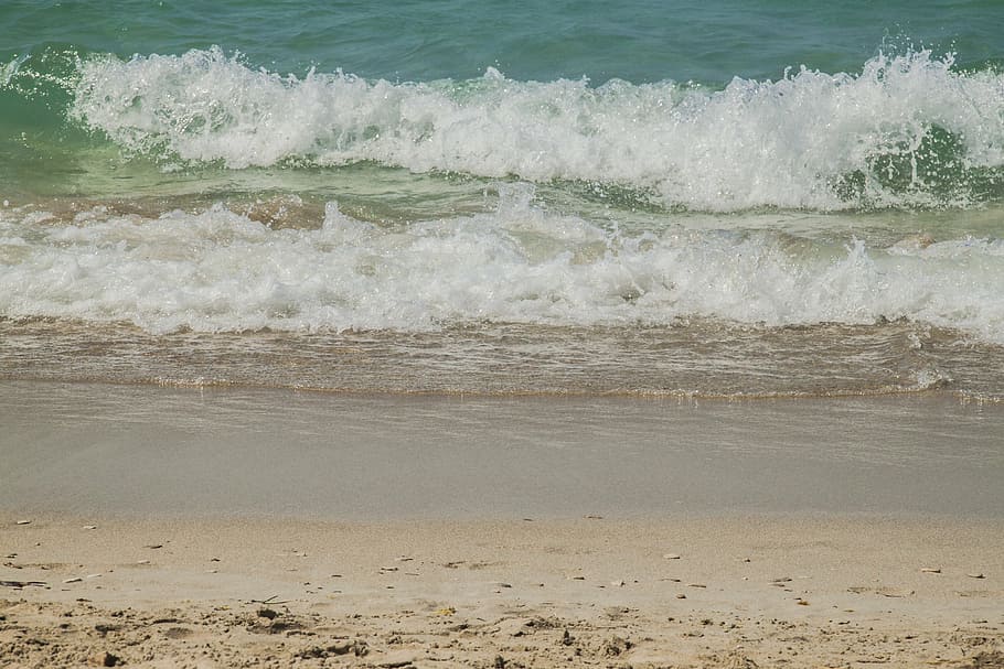 marine, wave, beach, water, sea, motion, land, aquatic sport HD wallpaper