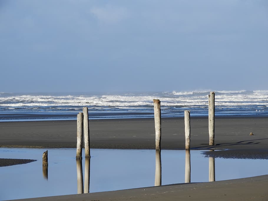 beach, piling, ocean, coast, tranquil, sea, sky, water, beauty in nature HD wallpaper