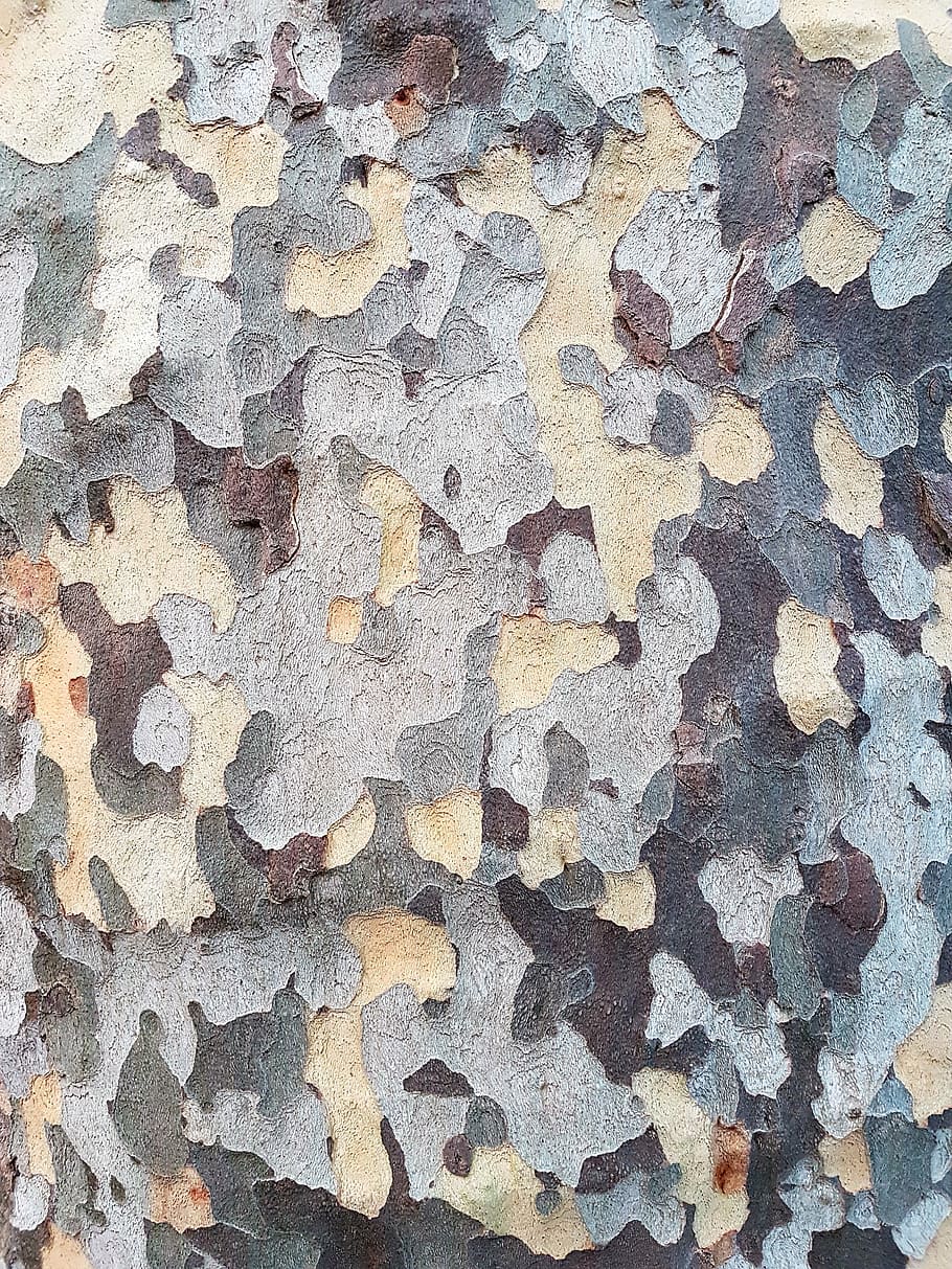 untitled, camouflage, wall, texture, backgrounds, pattern, textured HD wallpaper