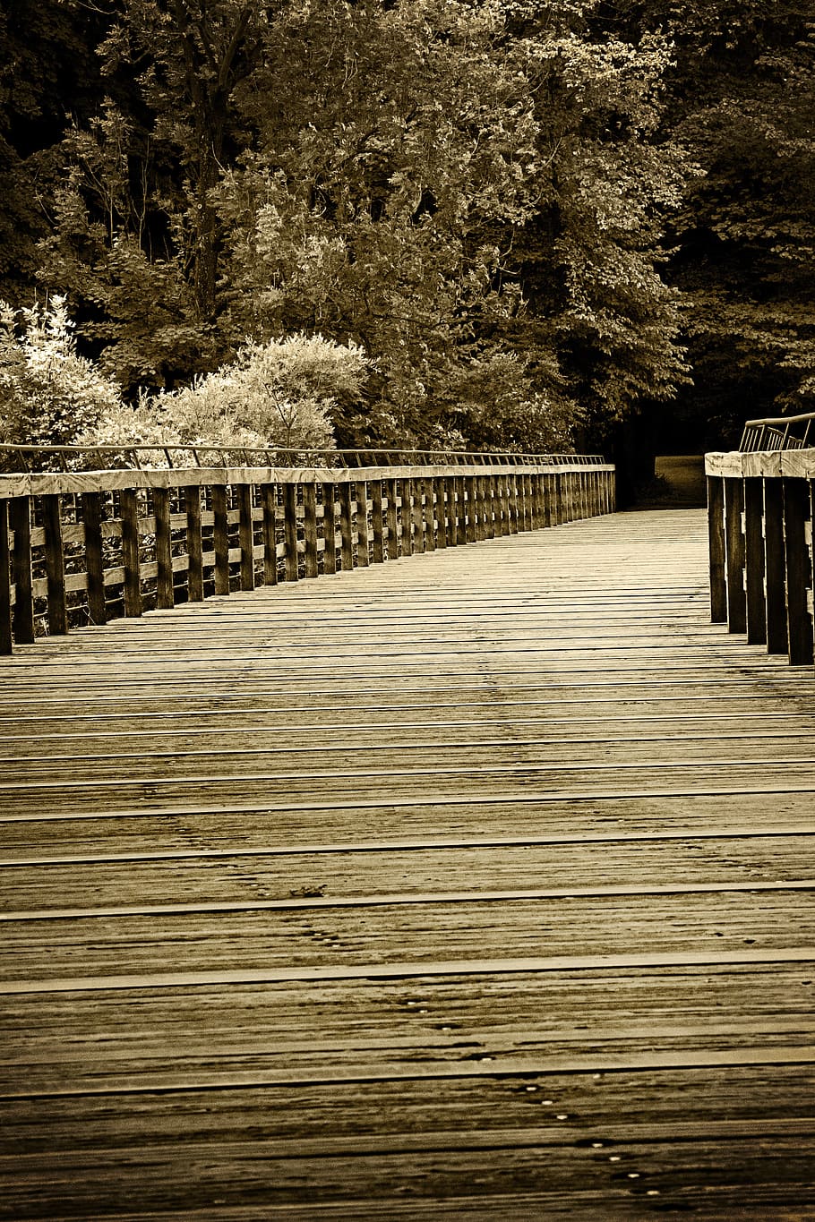 Bridge, Web, Away, Sepia, Wood, Railing, tree, outdoors, no people HD wallpaper