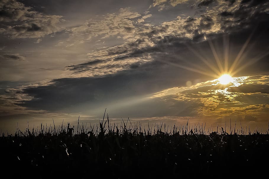 sunset, sky, nature, color, natural, landscape, meadow, outdoor HD wallpaper