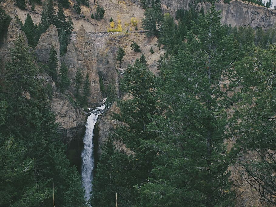 scenery of waterfall and forest, water falling downward near green leafed trees HD wallpaper