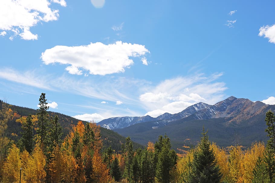mountains, trees, landscape, nature, yellow, forest, sky, outdoor HD wallpaper