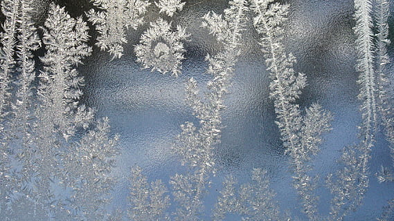 closeup photo of gray leaf glass decor, Hardest, Ice, Winter HD wallpaper