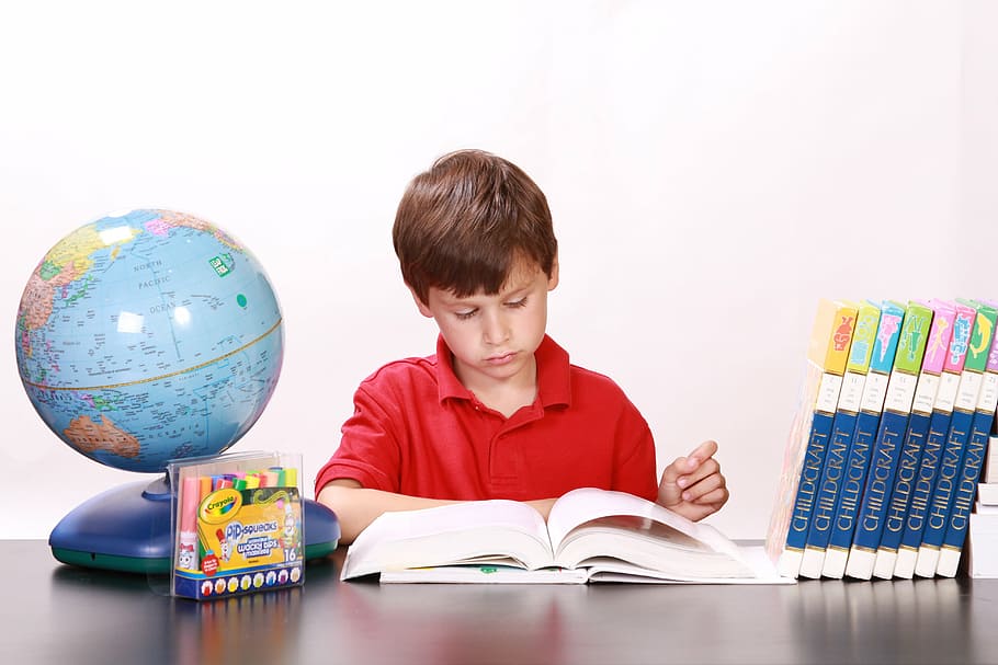 boy wearing red polo shirt reading a book, studying, books, children, HD wallpaper