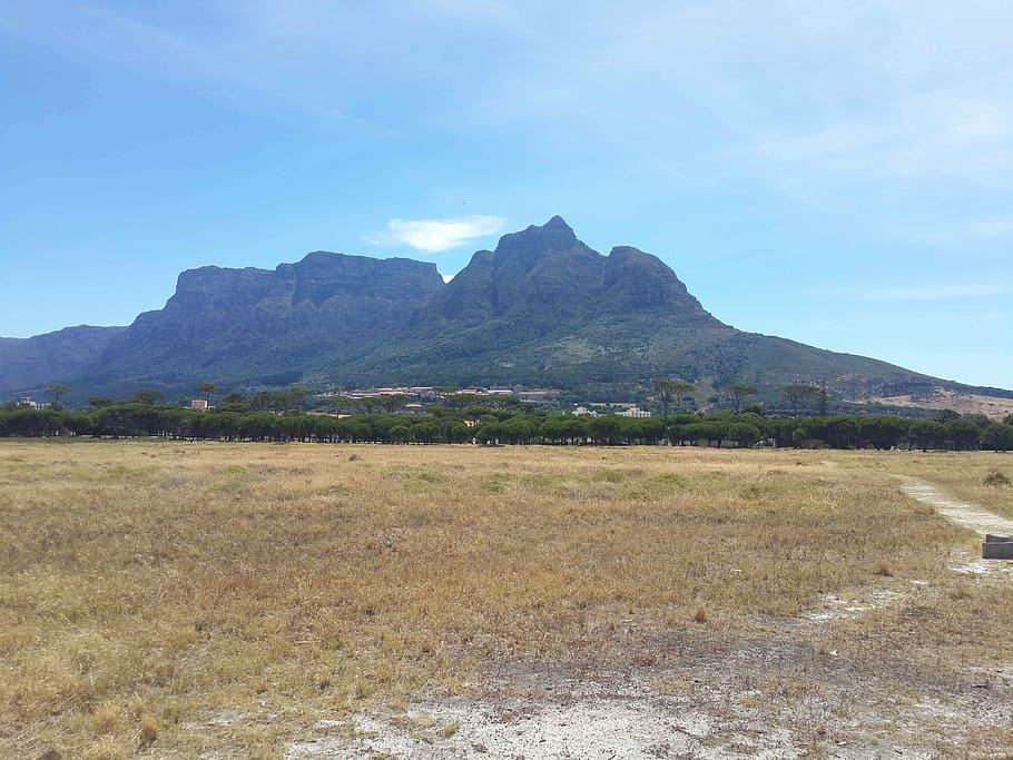 mountain, field, sky, south, africa, cape, town, land, scenic HD wallpaper