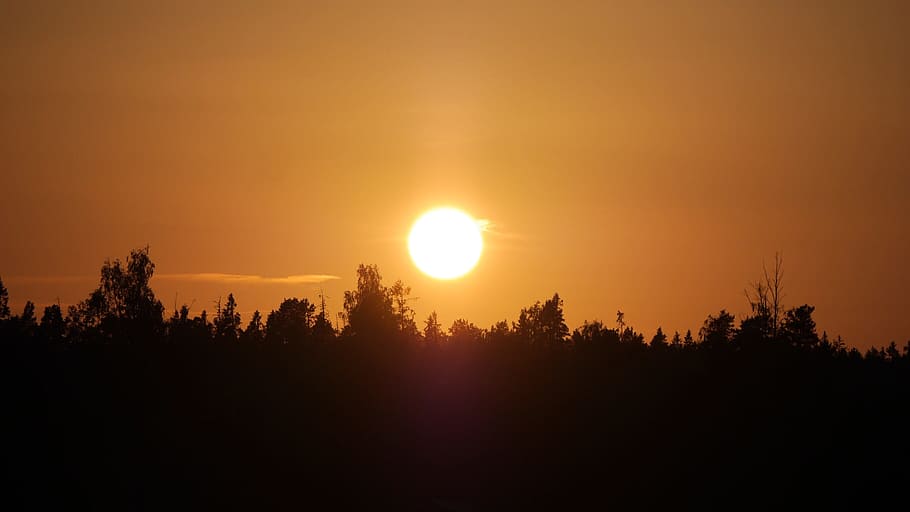 Solar, Sunset, Himmel, Summer, the evening sky, silhouette HD wallpaper