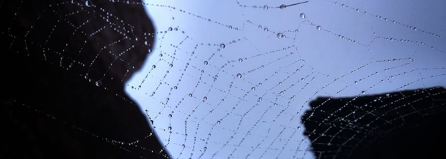 outdoors, nature, abstract, weather, panoramic, pattern, drop HD wallpaper