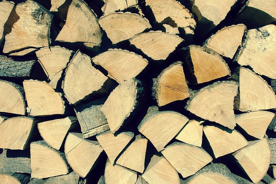 wood, logs, lumber, texture, full frame, backgrounds, timber HD wallpaper