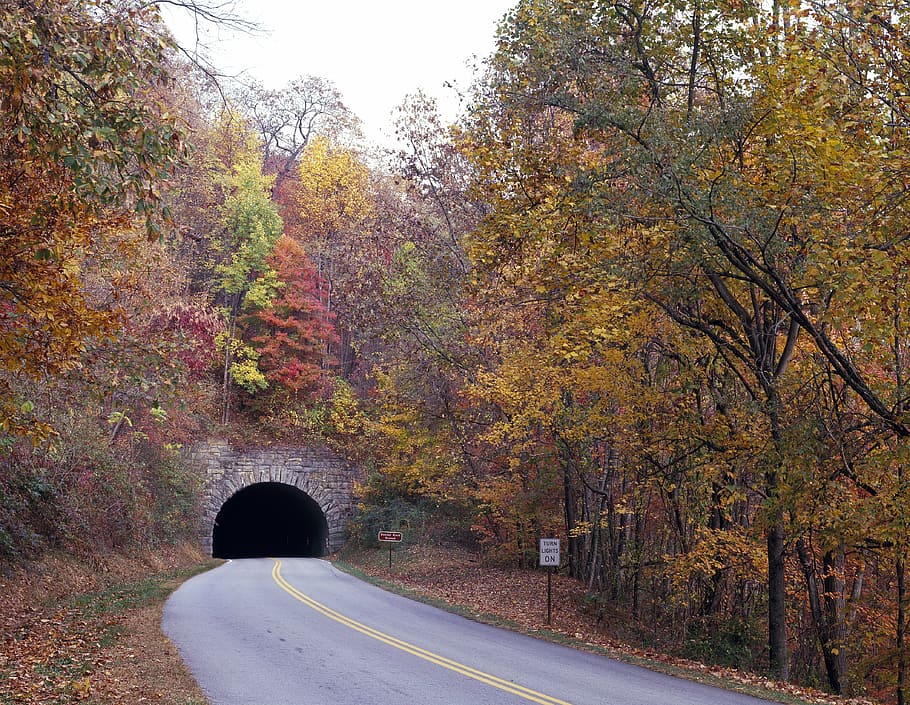 tunnel, foliage, fall, autumn, blue ridge parkway, trees, season HD wallpaper