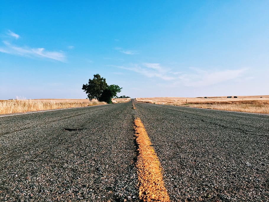 grey asphalt road during daytime, desert, grass, perspective HD wallpaper