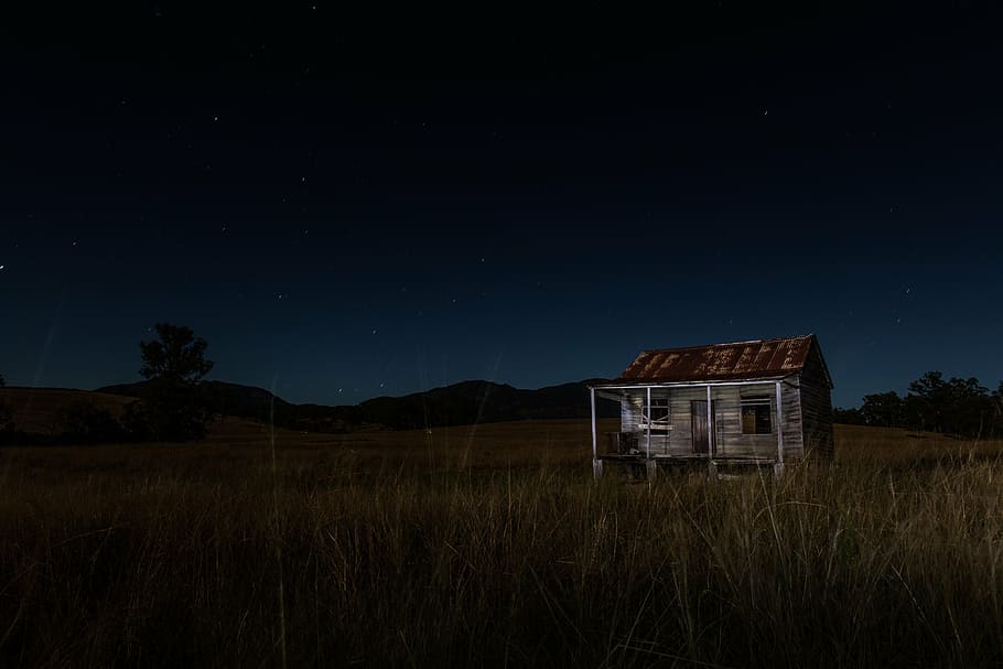 gray and brown wooden house in middle of grass field, cabin HD wallpaper