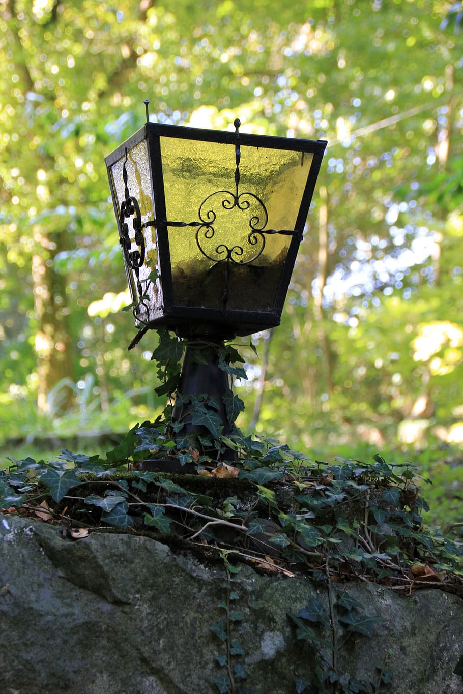 lantern, decay, ivy, schwalenberg, plant, tree, focus on foreground HD wallpaper
