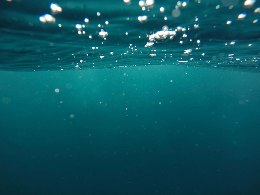 underwater photography, blue, nature, ocean, sea, bubbles, surface