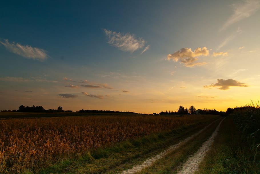 sunset, evening, warm, evening sky, cloud, lane, landscape HD wallpaper