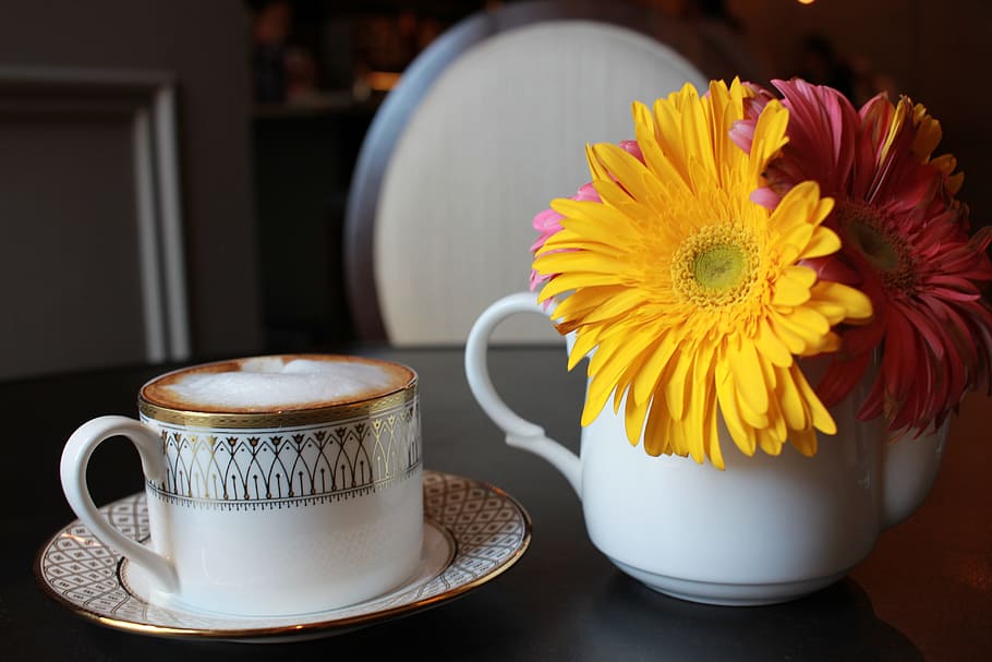 flowers, coffee, breakfast, flowering plant, freshness, mug HD wallpaper