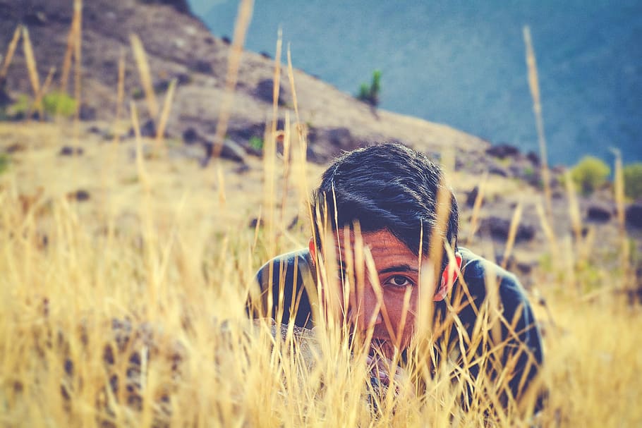 man wearing black shirt hiding on green grass field at daytime, focus photo of man in black shirt on dried grass field, HD wallpaper