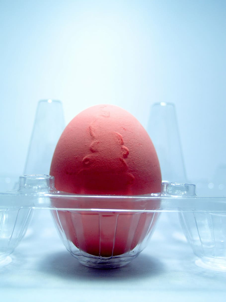 egg, pink, market, eggshell, cholesterol, meal, agriculture HD wallpaper