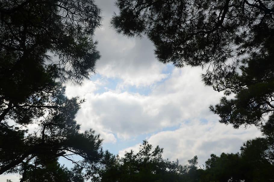 Sky, Cloud, Dark, Swirl, hope, bright, tree, nature, cloud - sky HD wallpaper