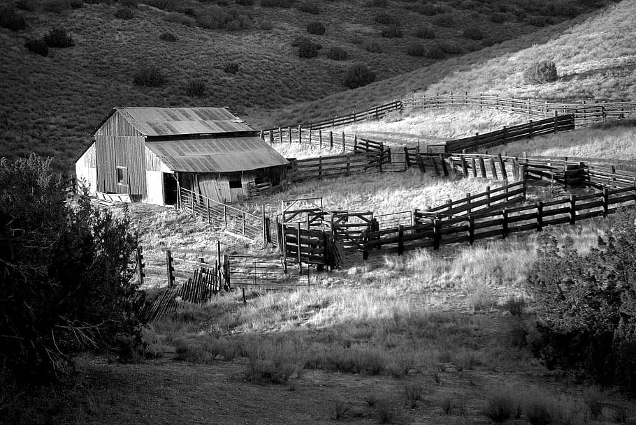 black and white farm