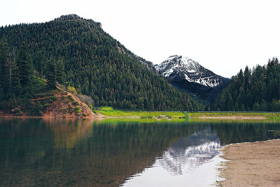 calm lake neargreen covered mountains under white sky, pine forest HD wallpaper